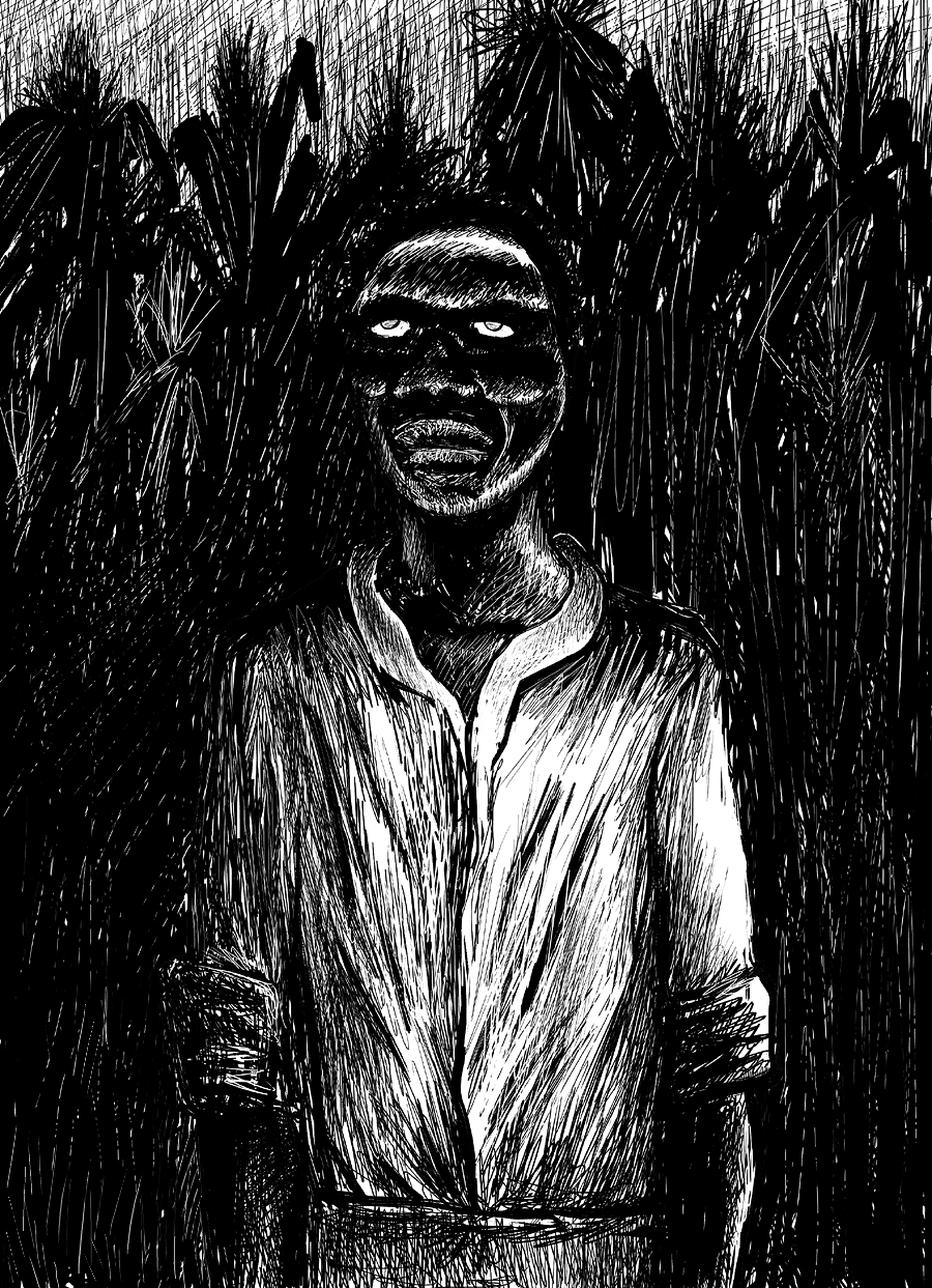 Representación de un zombi vudú entre cañas de azúcar. Vía Wikimedia Commons.