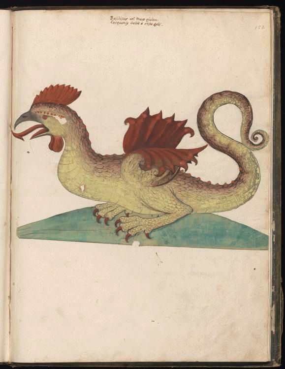 Dibujo medieval que muestra una cocatriz, una especie de híbrido entre gallo y dragón, que fue extremadamente popular en la época medieval. Vía Wikimedia Commons.