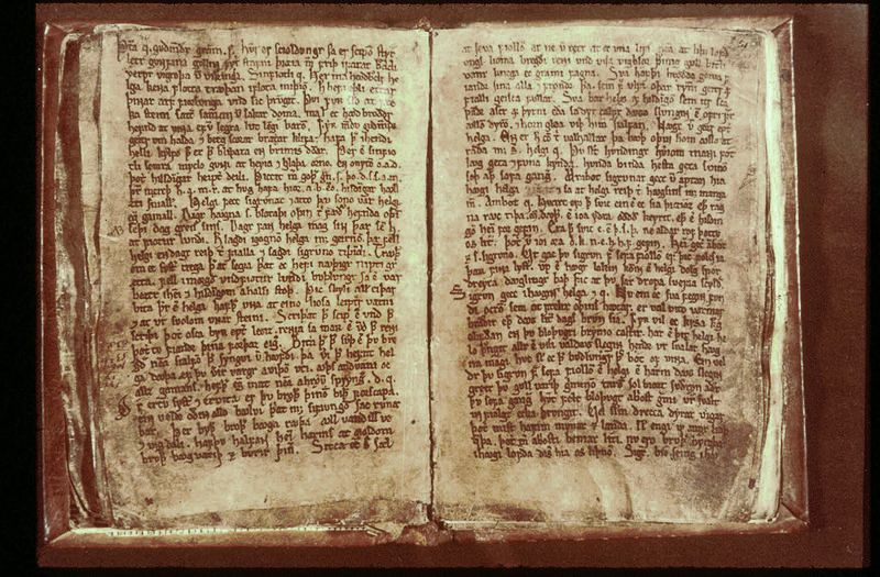 Los poemas que forman parte del Codex Regius sirvieron como base para la elaboración del Edda Mayor, una de las fuentes más importantes sobre los mitos nórdicos.