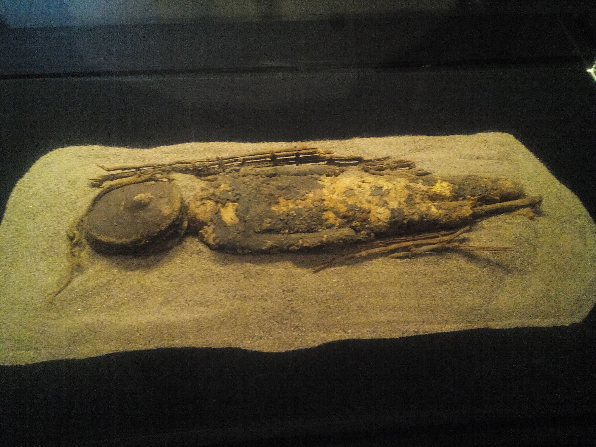 Momia de la cultura chinchorro.