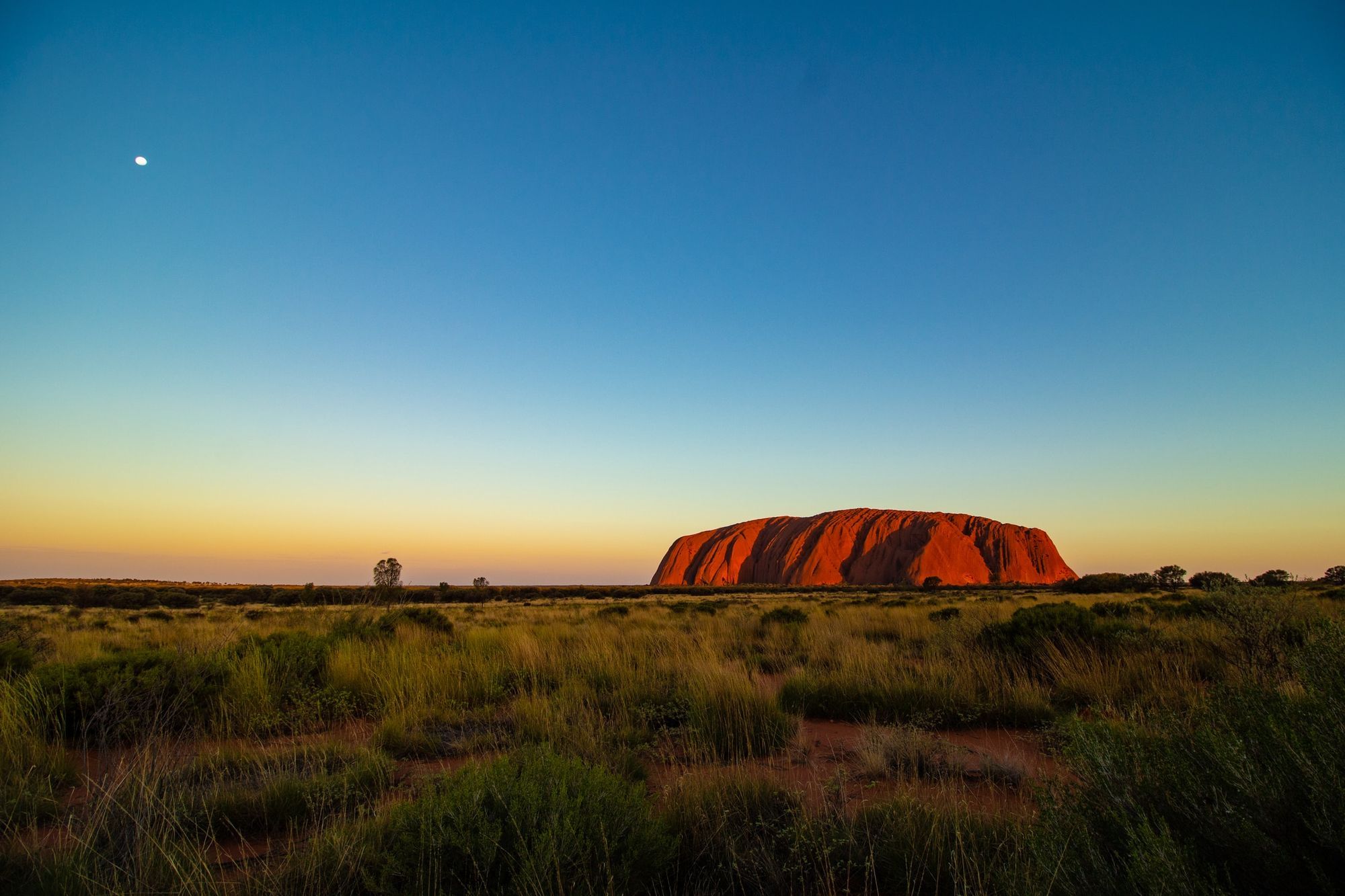 Mitología aborigen australiana un breve repaso