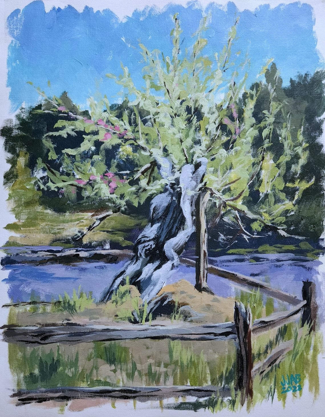 Treebirth