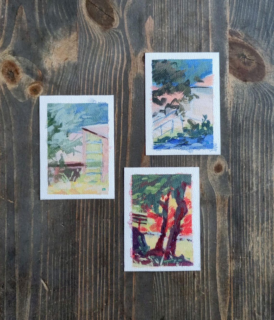Palomar Mountain School