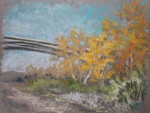 Mission Trails