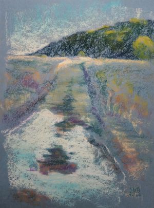 Trail Puddle