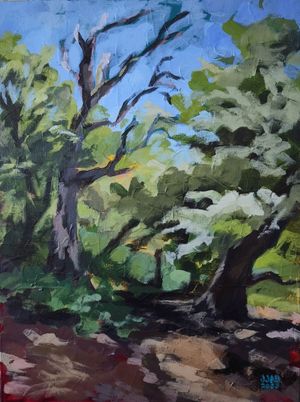 Palomar Mountain
