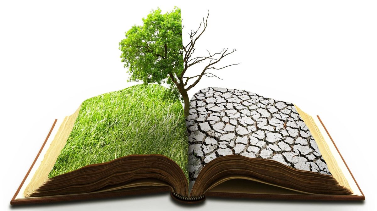 Five Attitudes Towards Climate Change (and the impact on our society)