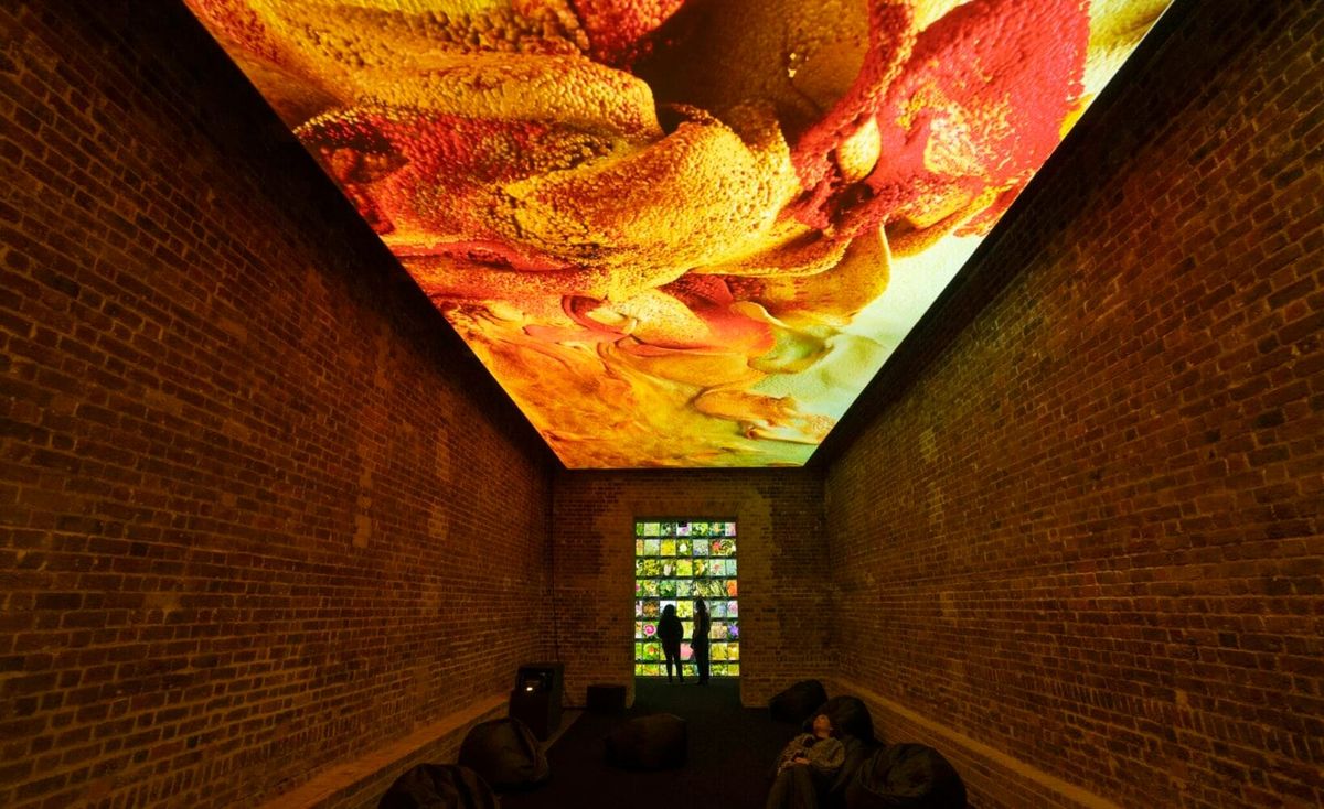 📝#79: Ethereum Beats SEC