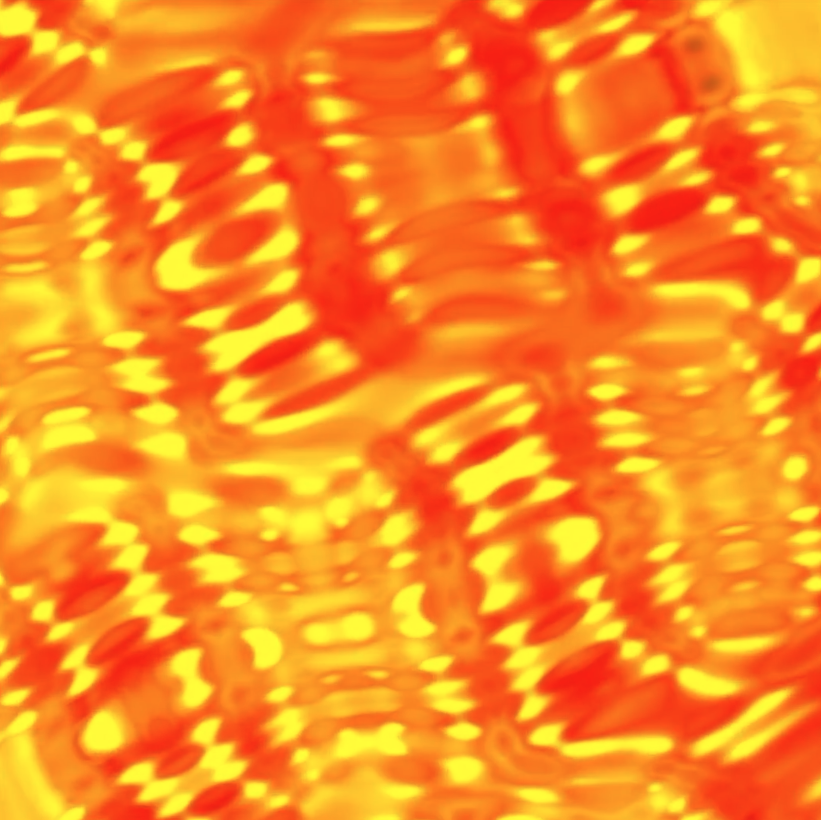 📝 Web3 Field Notes #18 – Money, Tokens, Games