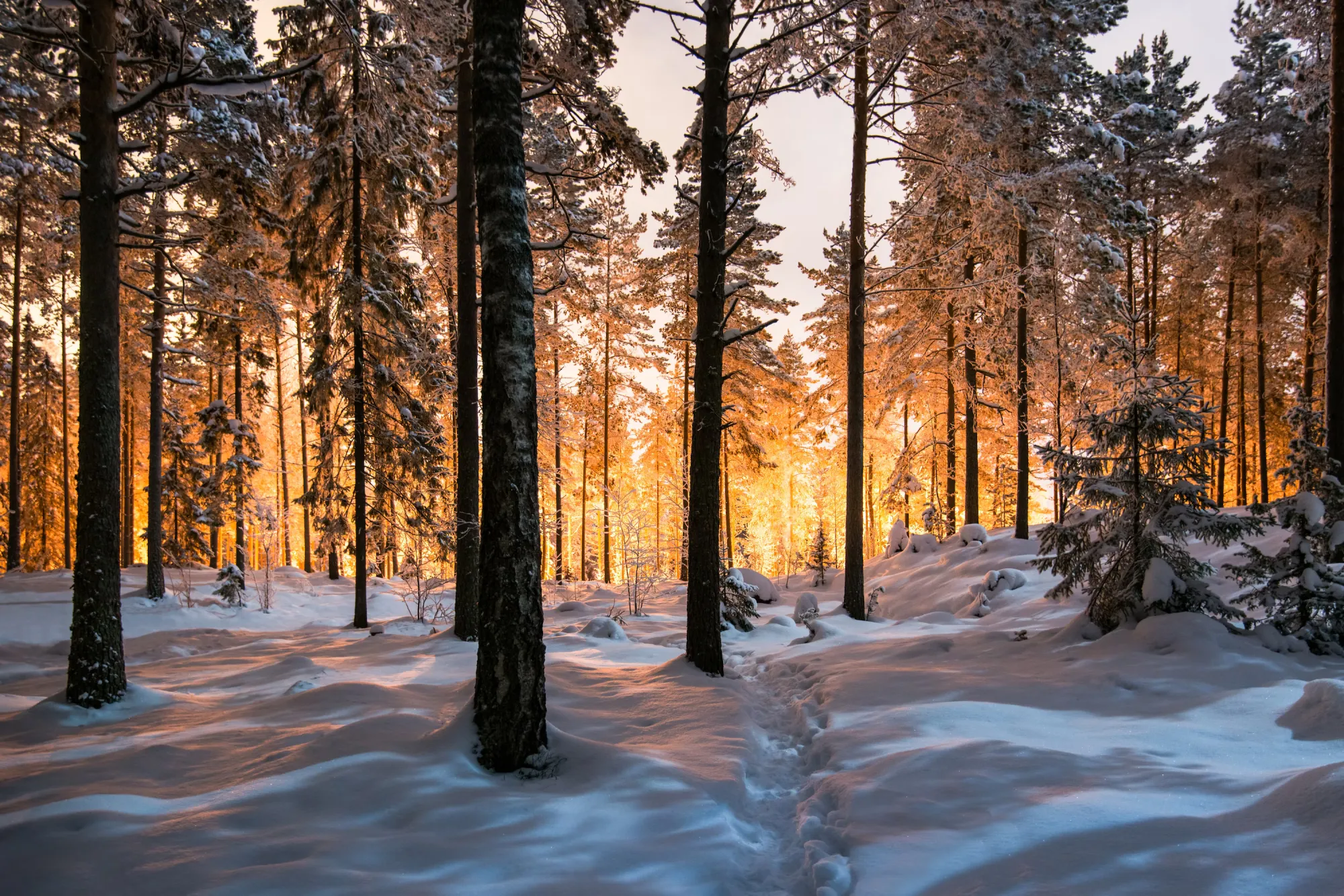 📝 Web3 Field Notes #12