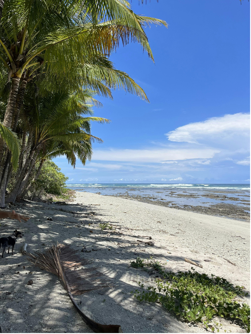 034: The Future of Travel