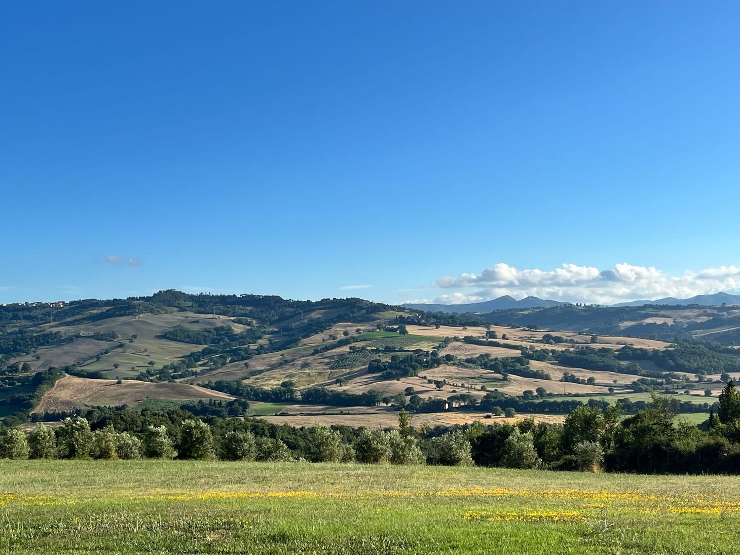 048: Designing for the Future, Now!