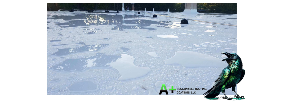 Myth Busting: Ponding Water on Silicone Roofs in New Mexico