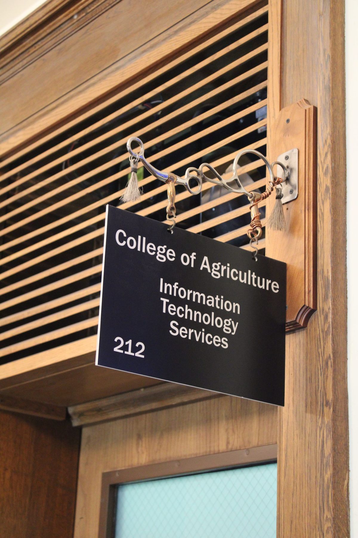 Agricultural Education Club creates an environment for future teachers and leaders to grow