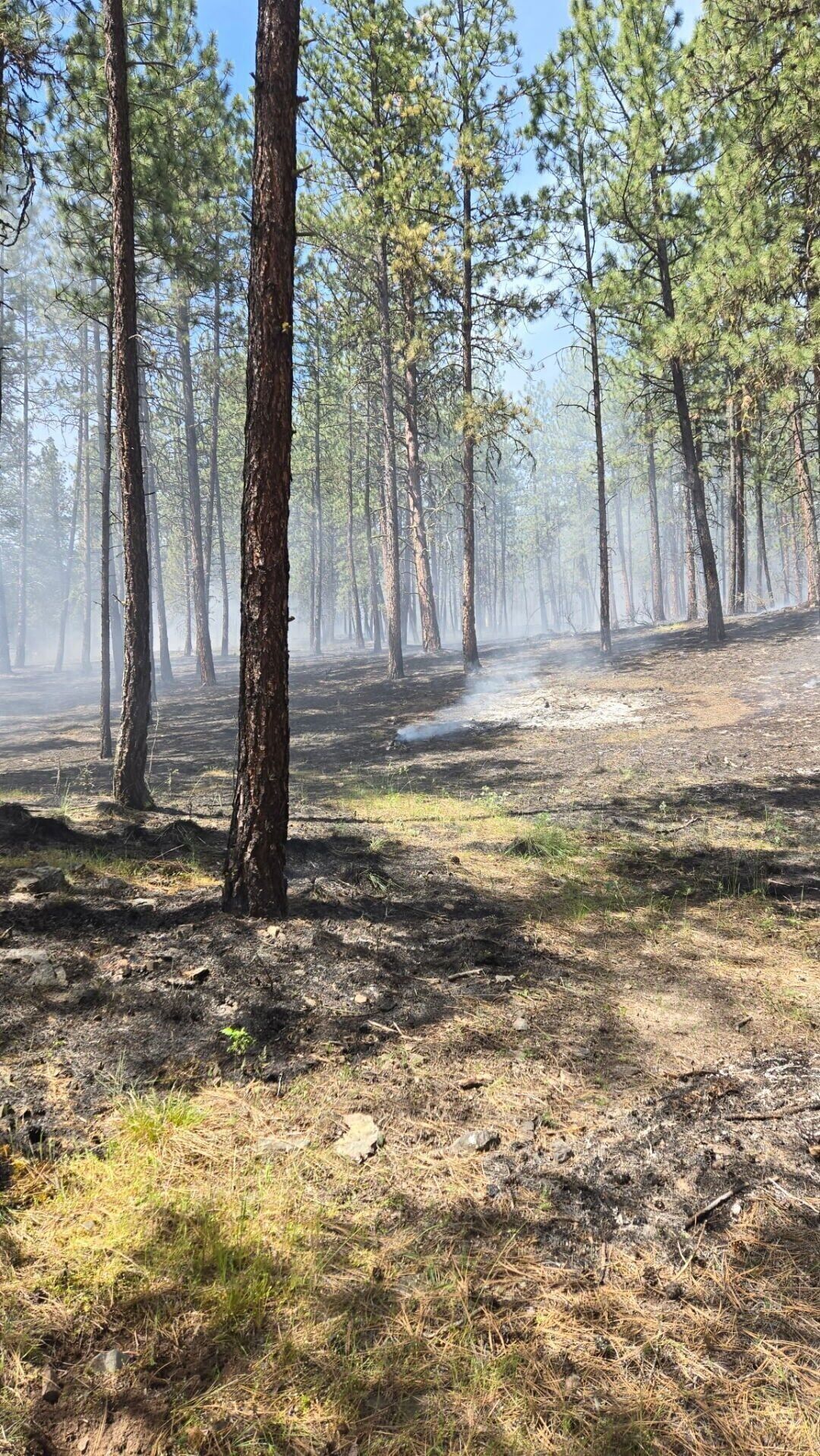 High Country Road fire starts near Plains as burn caution urged