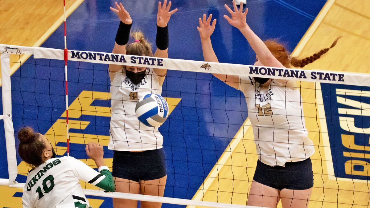 Get out the brooms; Cats sweep PSU