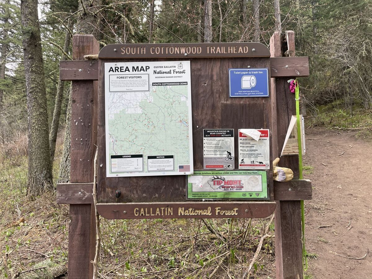 Local Conservation Groups File Lawsuits Against U.S. Forest Service Over Logging, Burning Of Bozeman Canyons