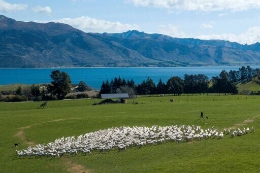 Court case challenges New Zealand's 'magical thinking' climate plans