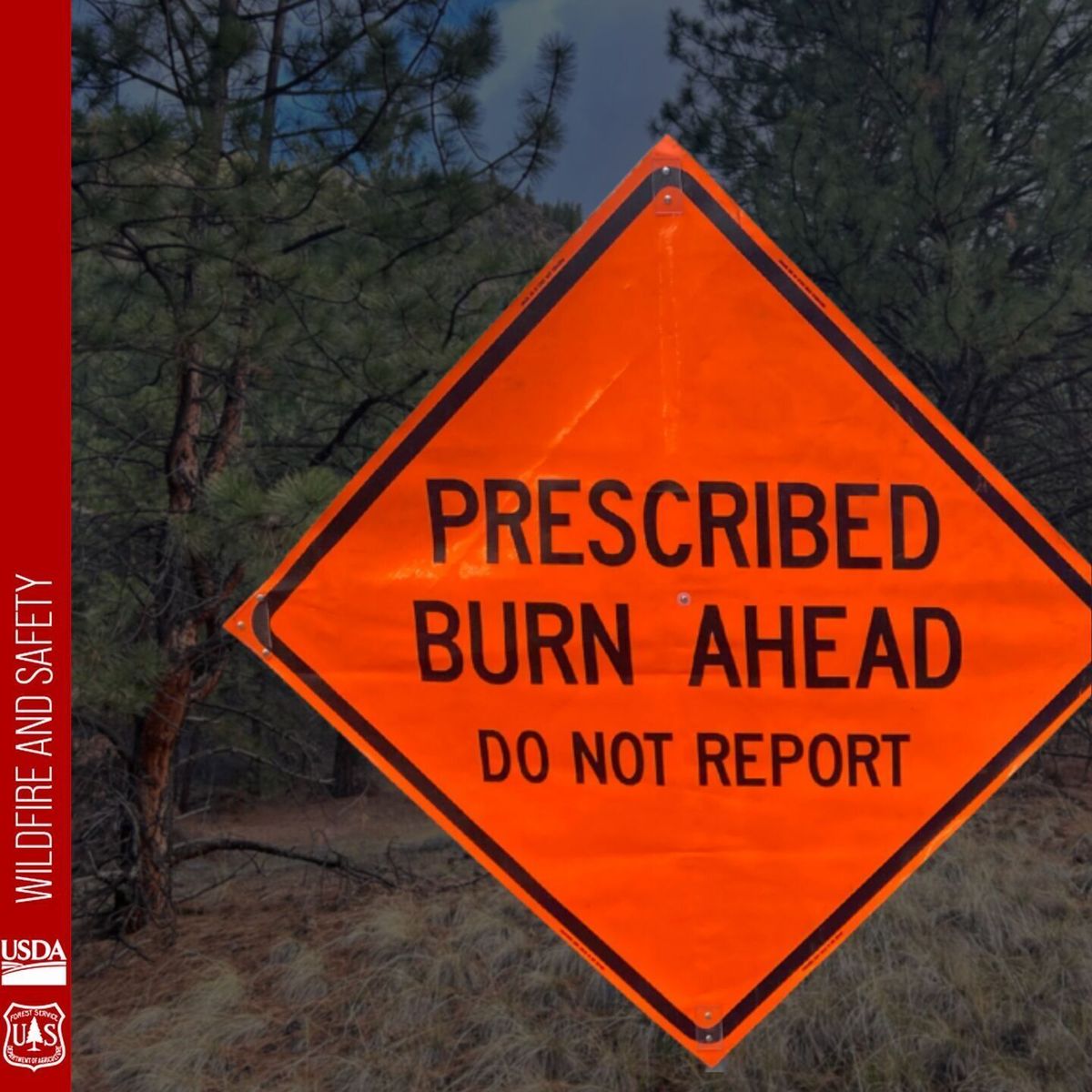 Prescribed burn in Helena-Lewis and Clark National Forest