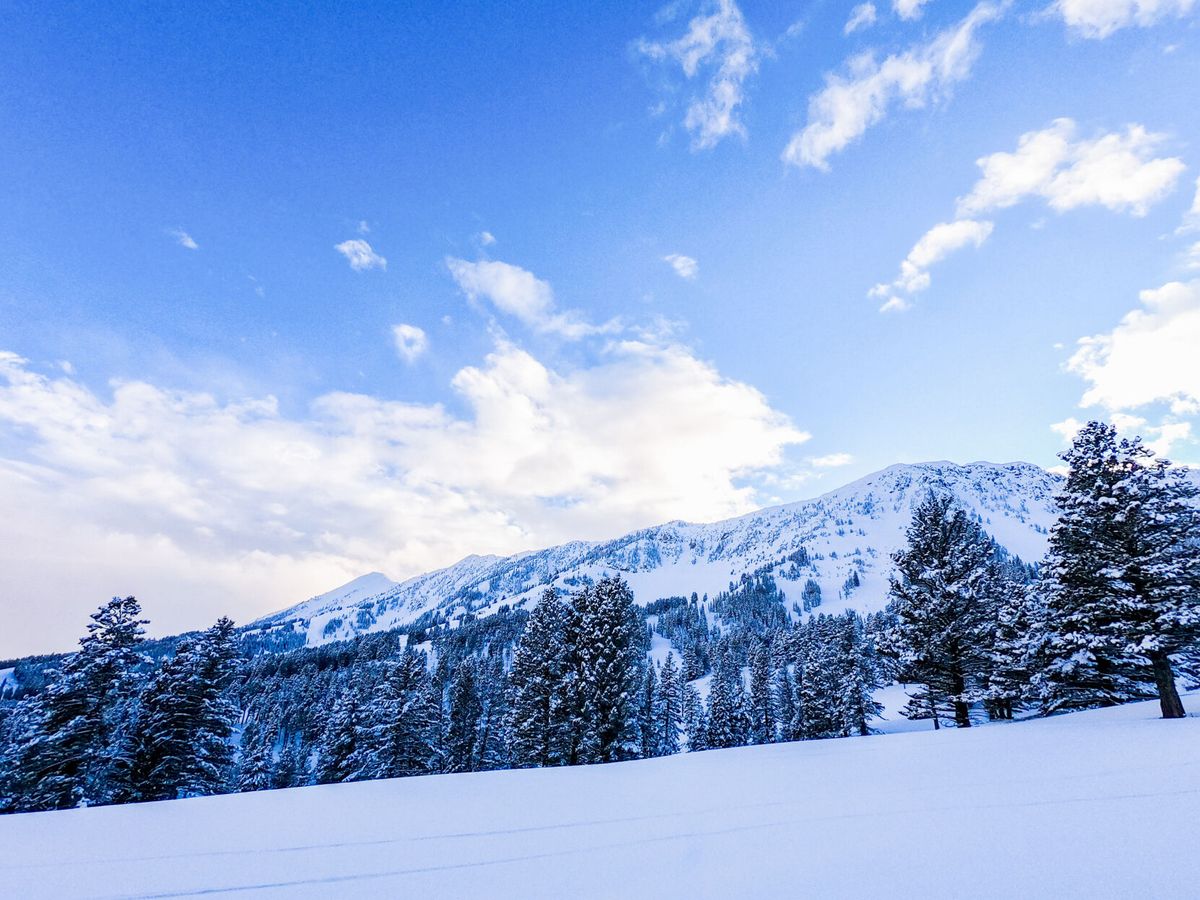 Bridger Bowl dealing with low snowpack and growth