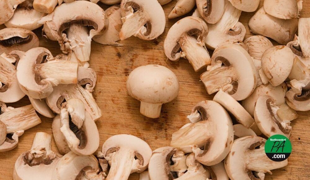 Congress members recognize Pa. farmers with National Mushroom Day