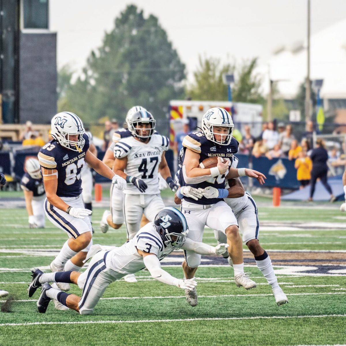 Cats dominate, win 52-10 at home