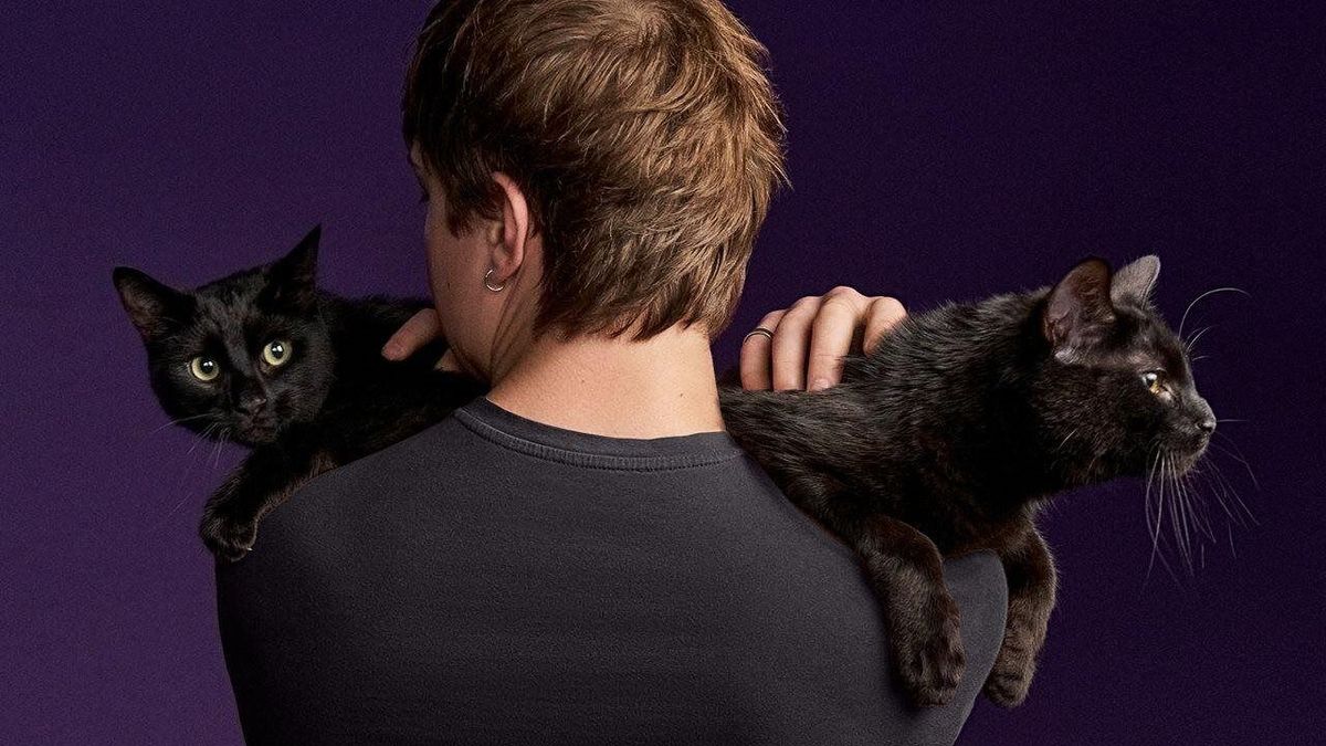 6 assumptions that could keep you from being a great cat dad