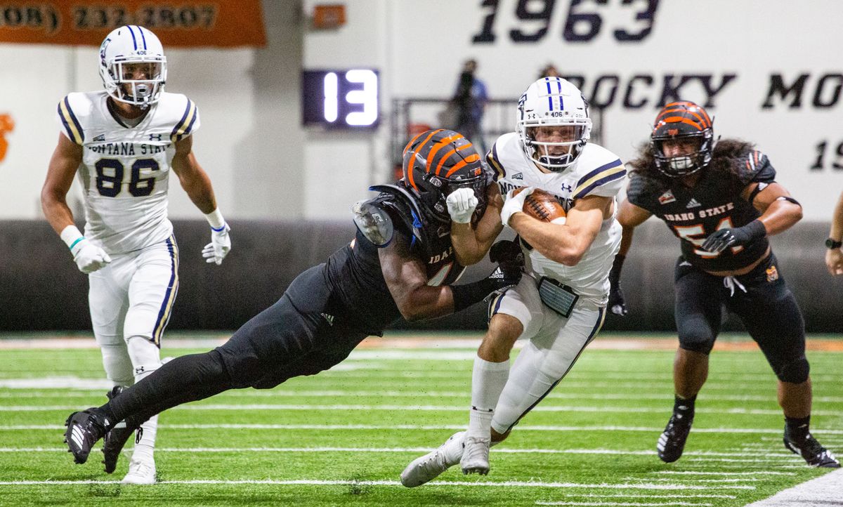 Bobcats Come Up Short, Fall to Bengals