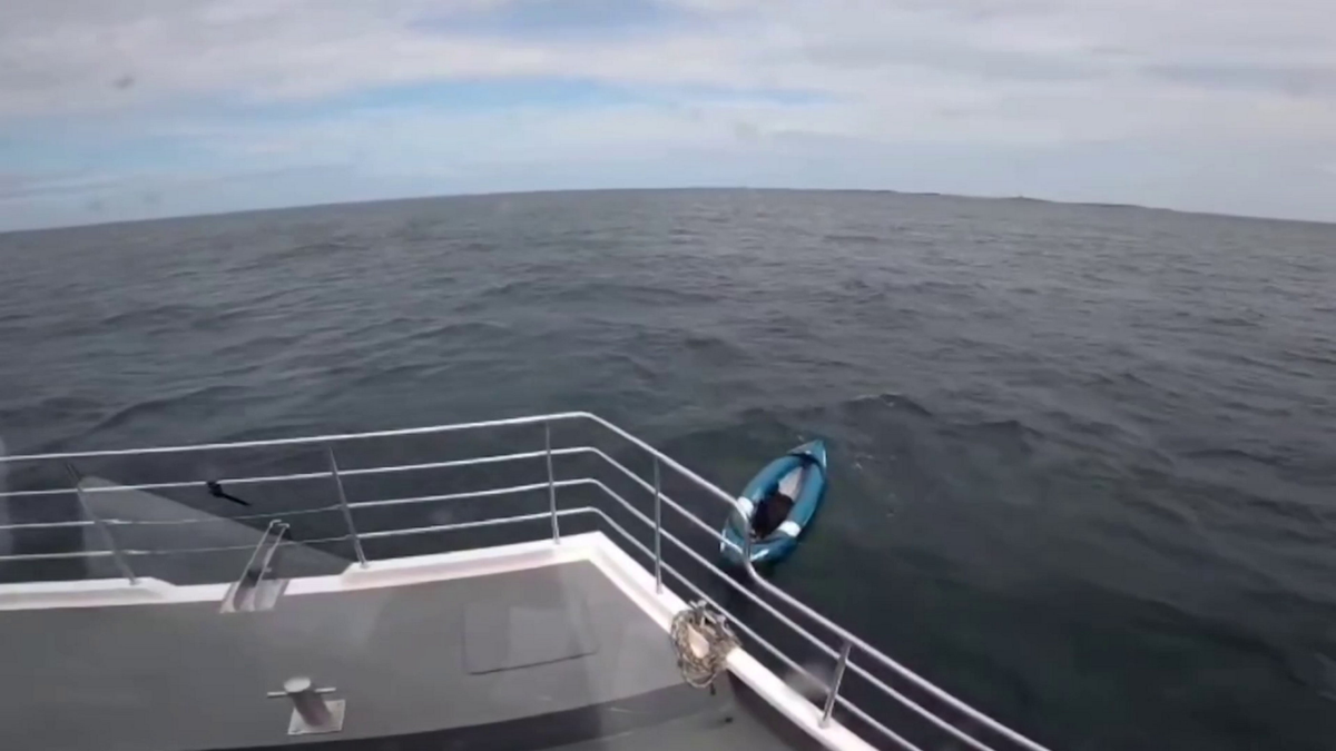 Dog rescued after floating out to sea on kayak