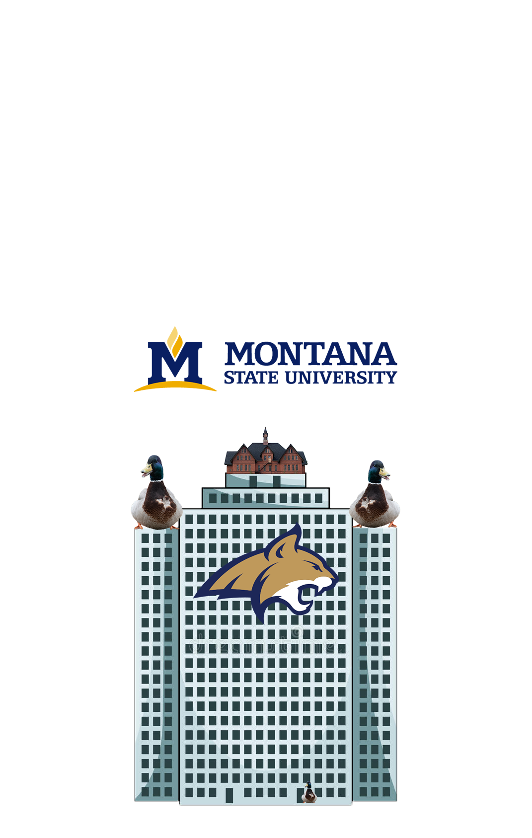 MSU Wholeness Center: a “whole-listic” approach