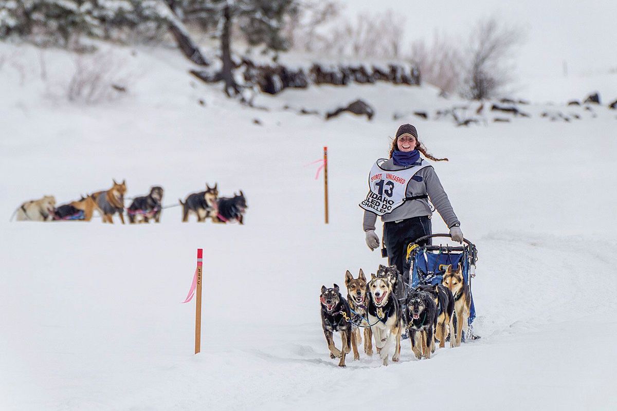 Charmayne Morrison: MSU student and musher
