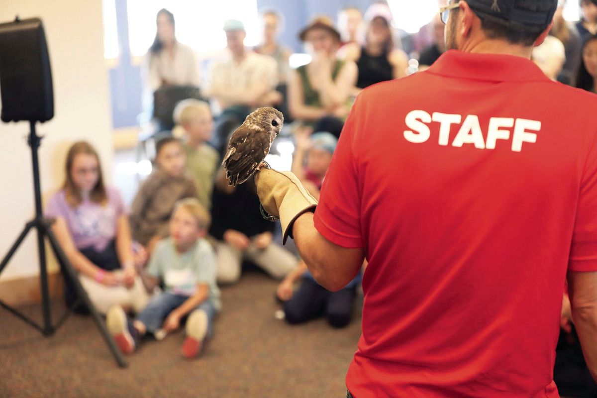 Sacajawea Audubon wraps up 2023 Bridger raptor counts