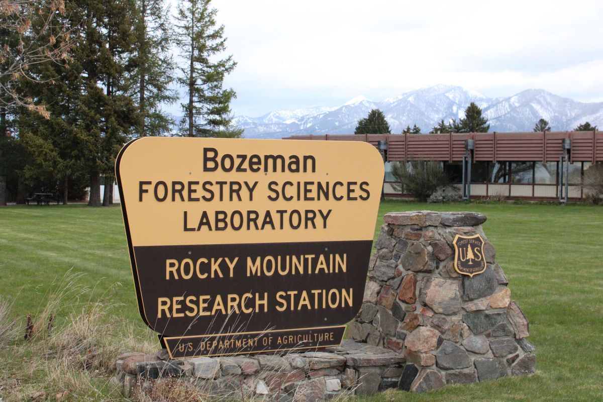 Forest Service reorganization sparks confusion and concern