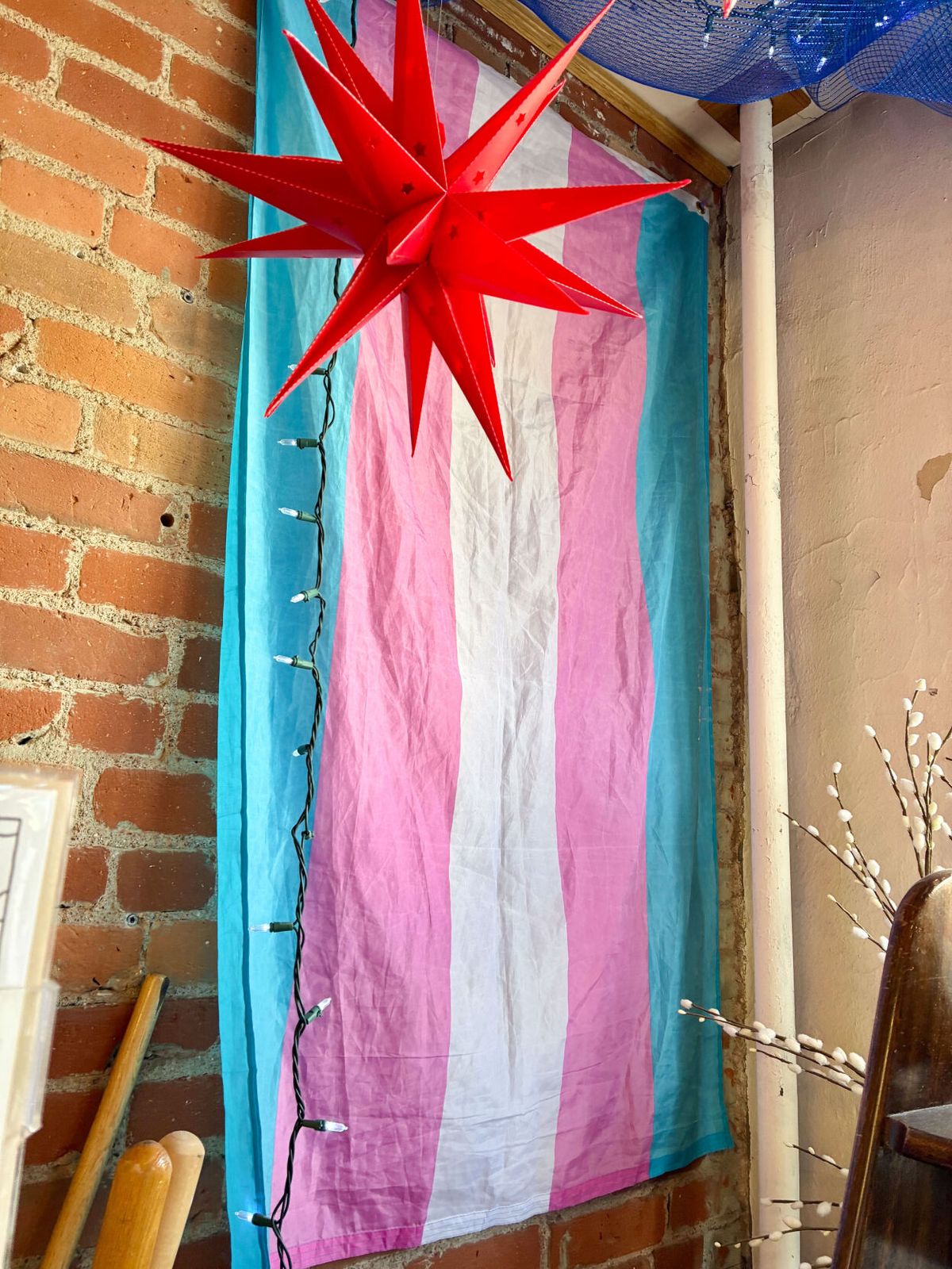 Transphobic Legislation is a Violation of Liberty