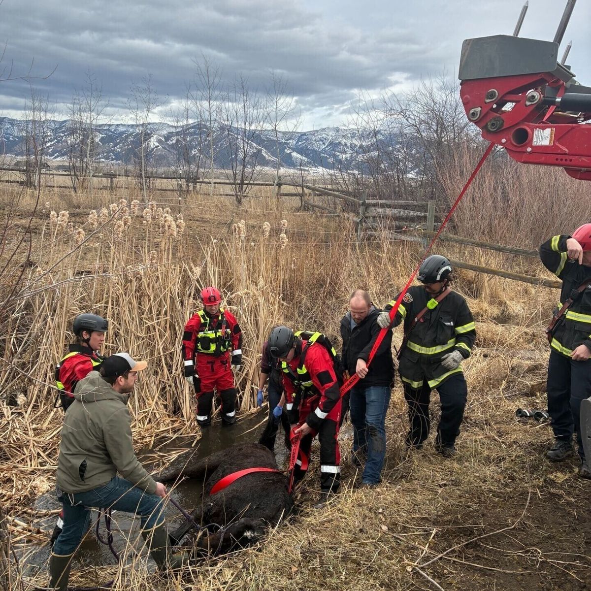 Central Valley Fire District rescues horse that had fallen from a bridge