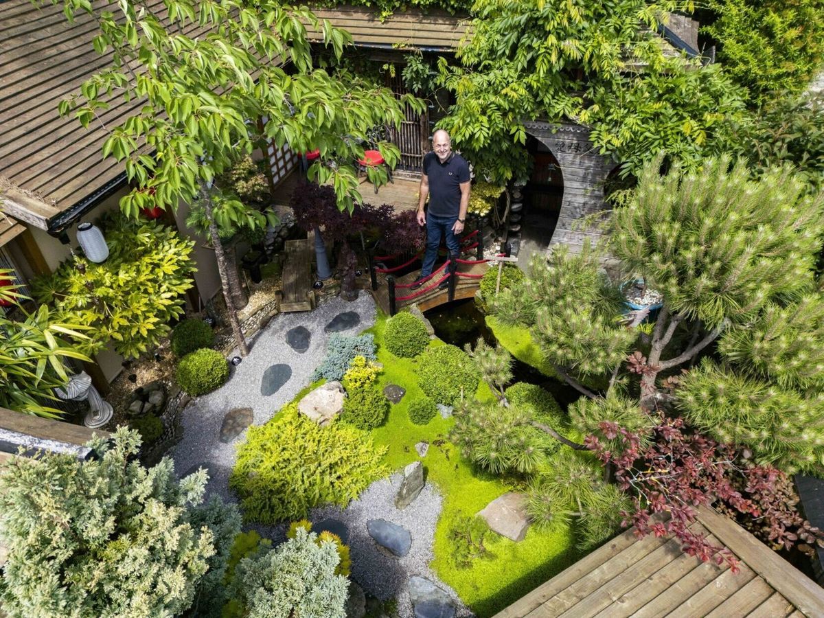 Dad spends $25,000 turning backyard into stunning Japanese garden