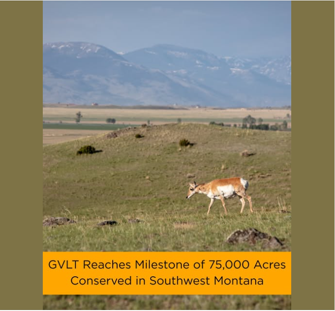 Gallatin Valley Land Trust Conserves 75k Acres Throughout Southwest Montana