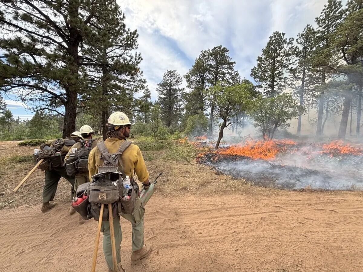 As fire season bears down, fractured federal wildland fire service complicates efforts