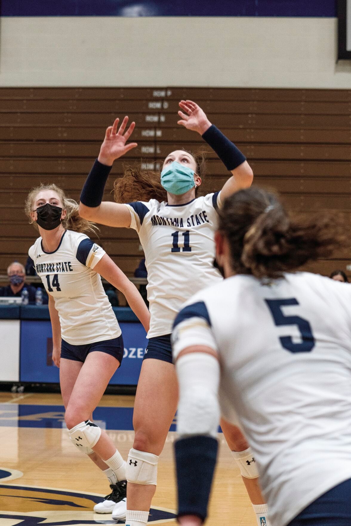 Volleyball splits home-openers