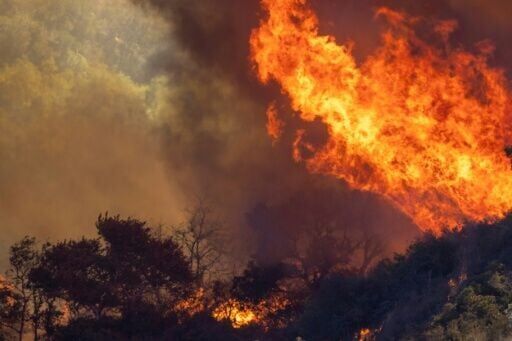 North America 'heat dome' left winners and losers: study