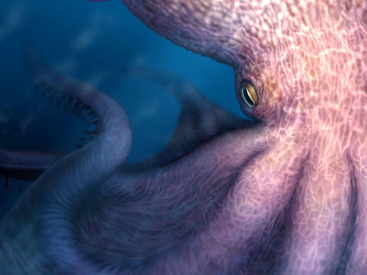 ‘Kraken-like’ giant octopuses ruled oceans 100 million years ago