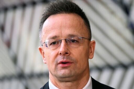 Russia to free two Hungarian-Ukrainian POWs, Putin says