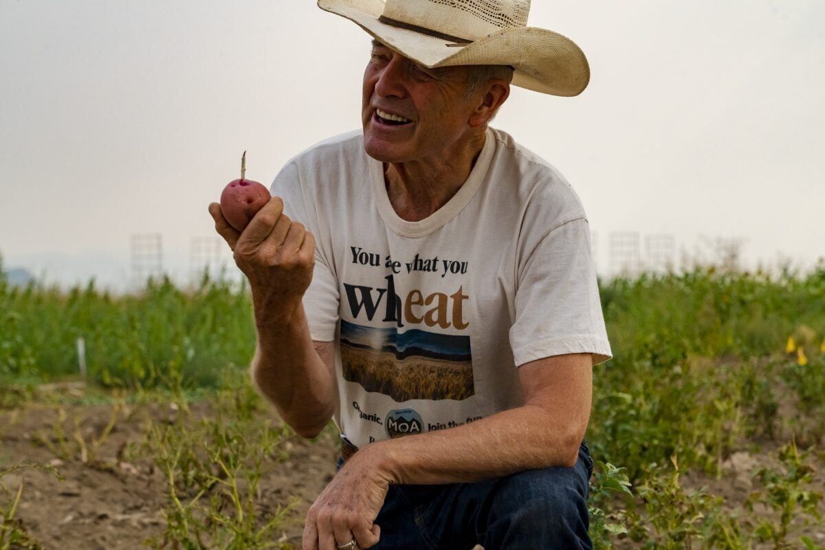 In farm bill fight, Montana congressmen at odds with MAHA majority