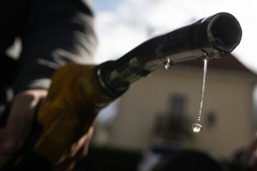 Leading economists call for windfall profit taxes on energy firms