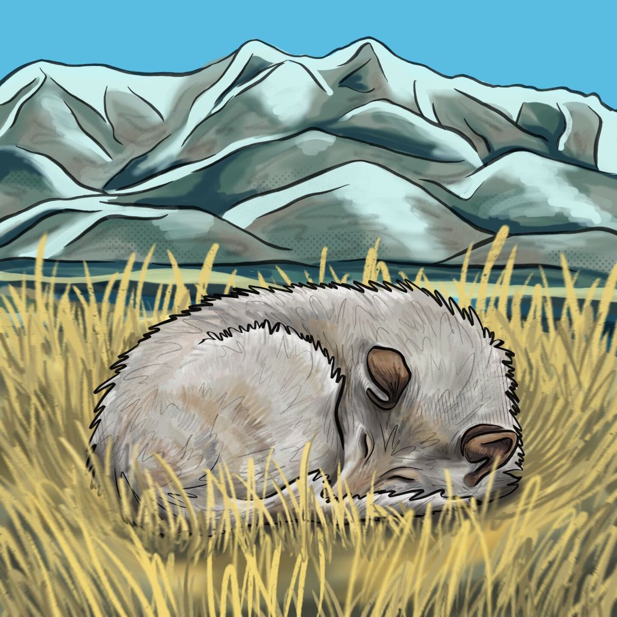 Conversing about grizzly bear and wolf conservation