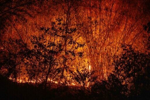 Blood clots, burning eyes: pollution chokes north Thailand