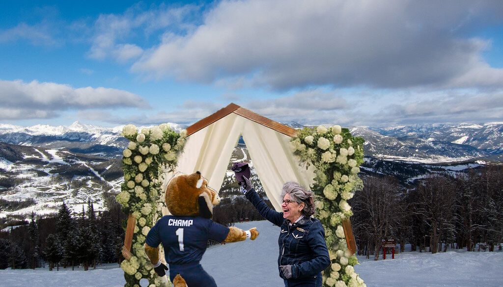 Dead ducks, feral hogs and love: an Excrement exposay :p into the wedding of the century