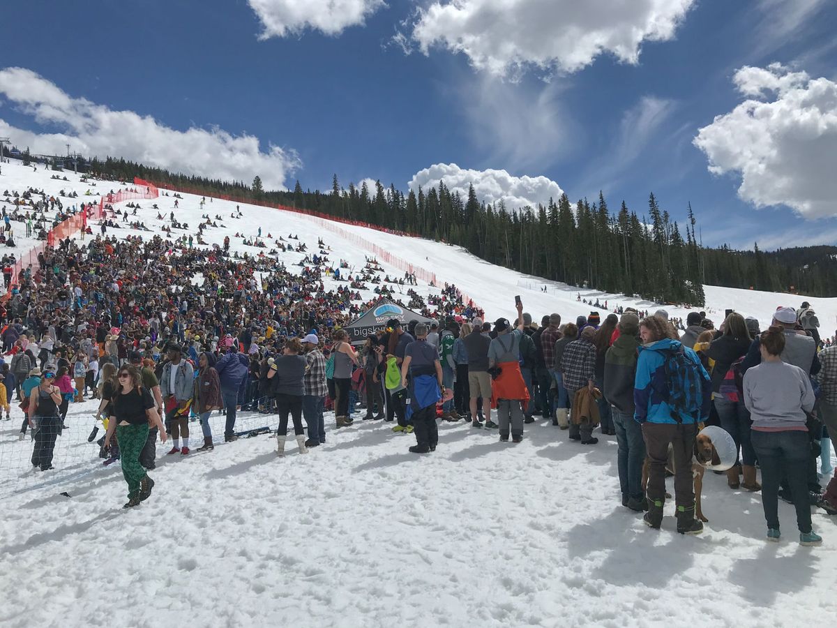 Pond Skim