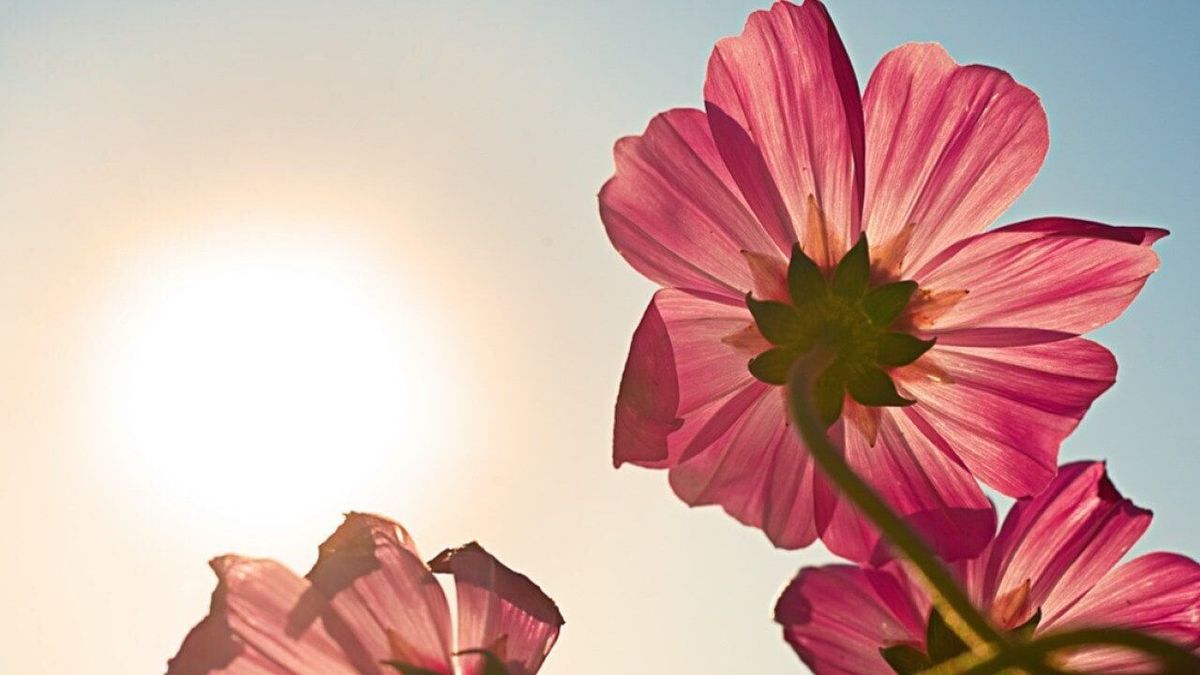 Hottest Aprils in Montana since 1895