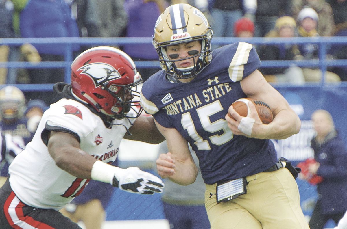Cats pluck Cardinals in return to playoffs